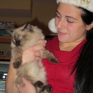 Meet your Posher, Katarina